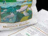 Custom Plastic Bags