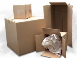 Instock Products