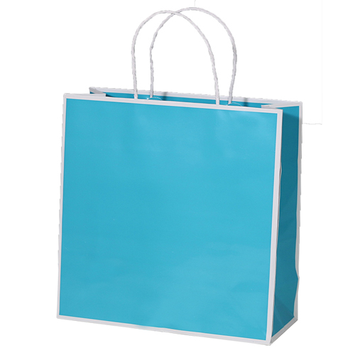 10 x 4 x 10 TURQUOISE WITH WHITE TRIM PAPER SHOPPING BAGS