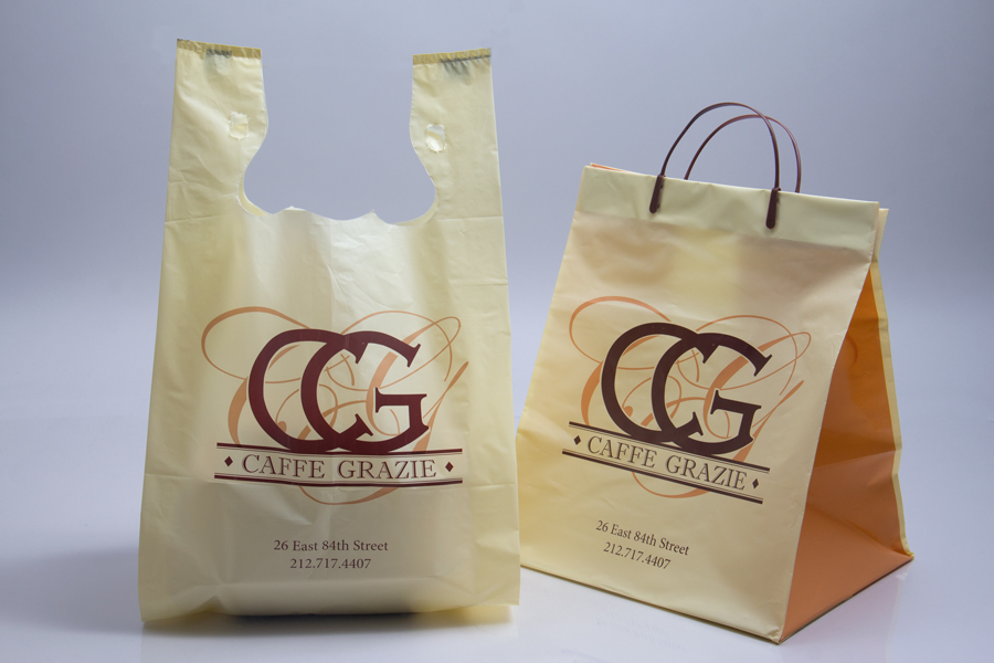 foamposite takeout bag