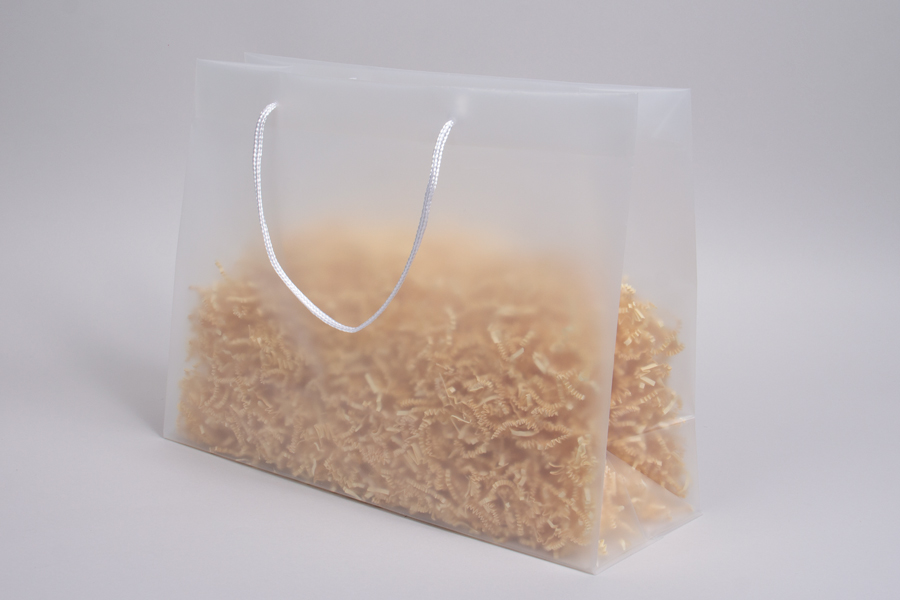Frosted Plastic Rope Handle Eurotote Bags