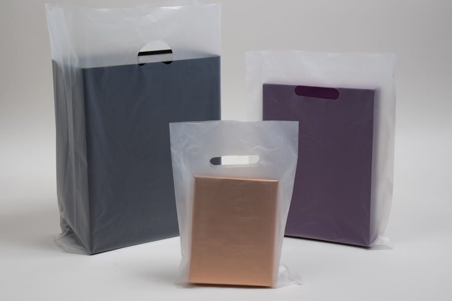 8 x 10 Frosted and Plastic Gift Bags