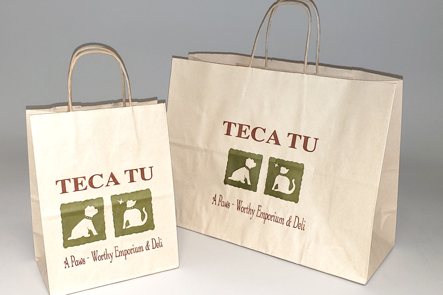 Semi-Custom Printing Options - Ink Printed Shopping Bags - 2 Color print - Teca Tu