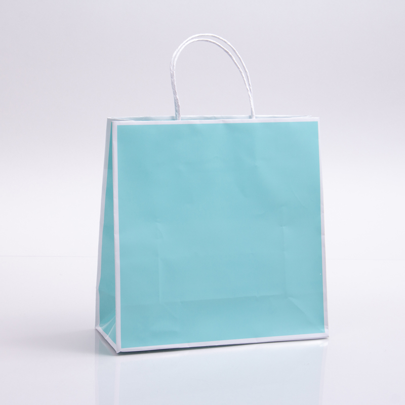 10 x 4 x 10 BAY BLUE WITH WHITE TRIM PAPER SHOPPING BAGS