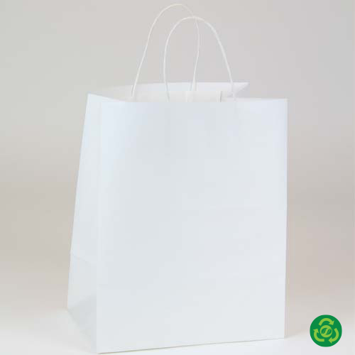 Product Detail - Gift Bag with Silver Tissue - 10x12