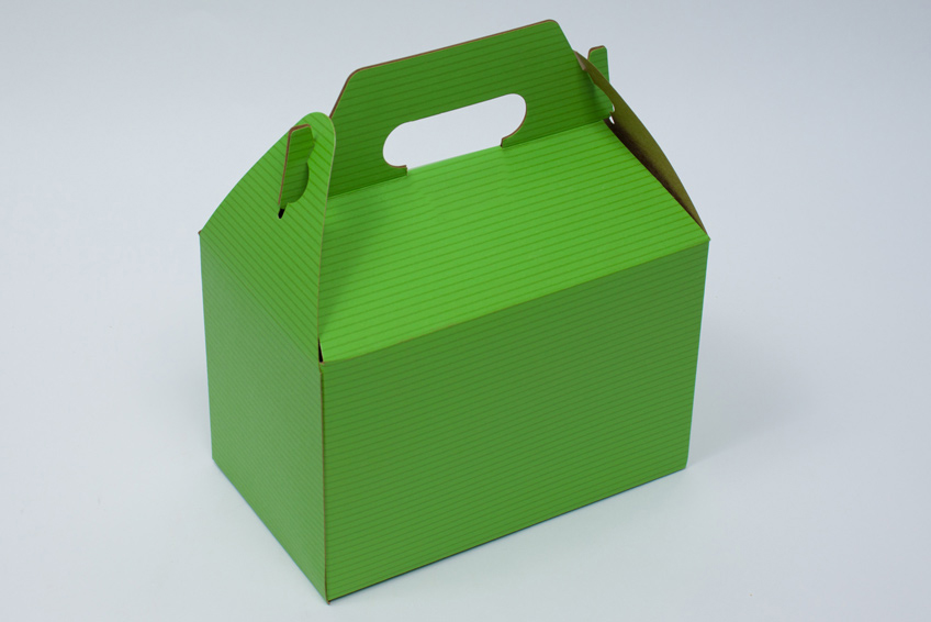 8 x 4-7/8 x 5-1/4 APPLE GREEN PINSTRIPE GABLE BOX