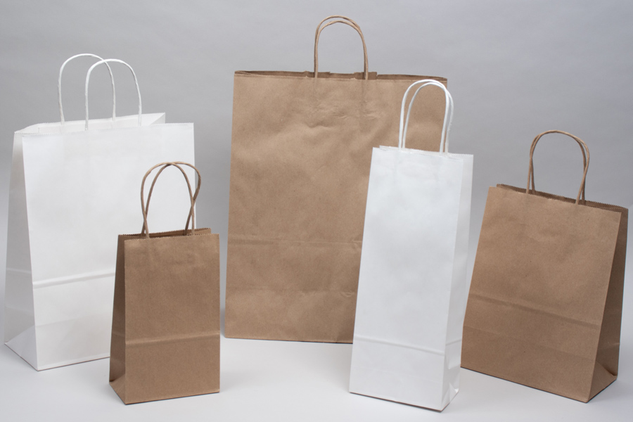 10LB Large White Paper Kraft Bags, Bakery Bags, Grocery Bag, Craft Bag –  EcoQuality Store