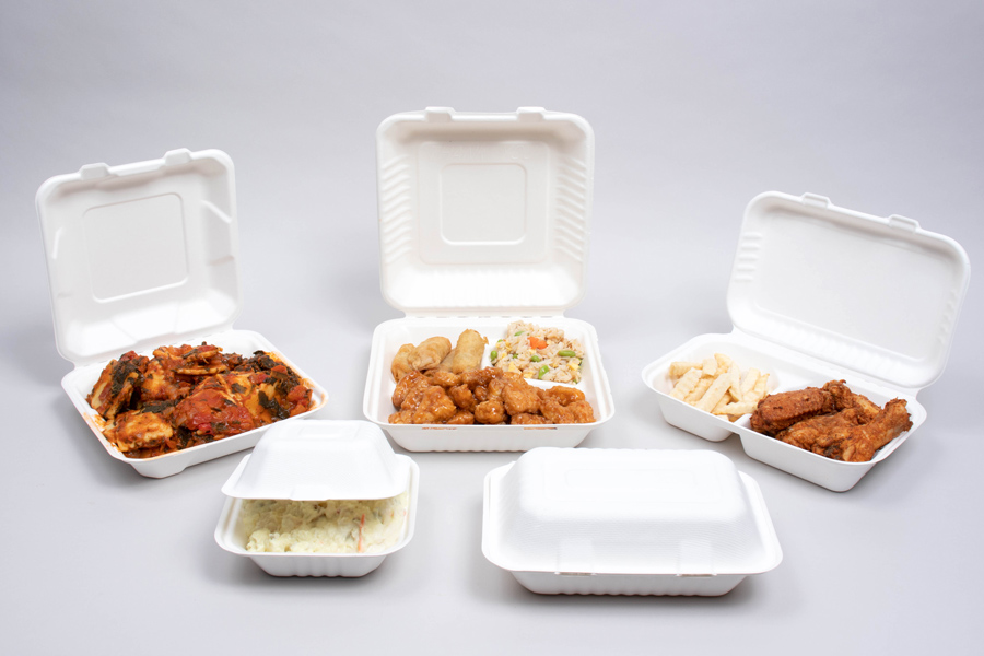 Bagasse Compostable Takeout Boxes