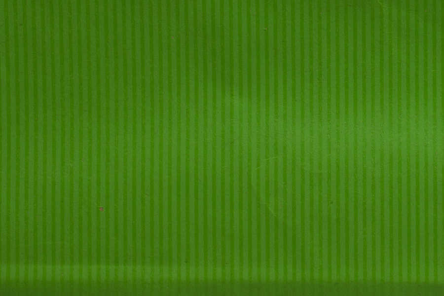 5.5 x 3.25 x 8.37 APPLE GREEN MATTE SHADOWSTRIPE PAPER BAGS