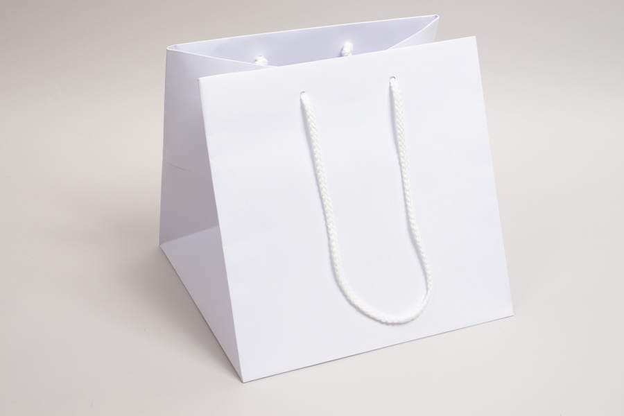 Buy Wholesale Paper Bags & Eurototes