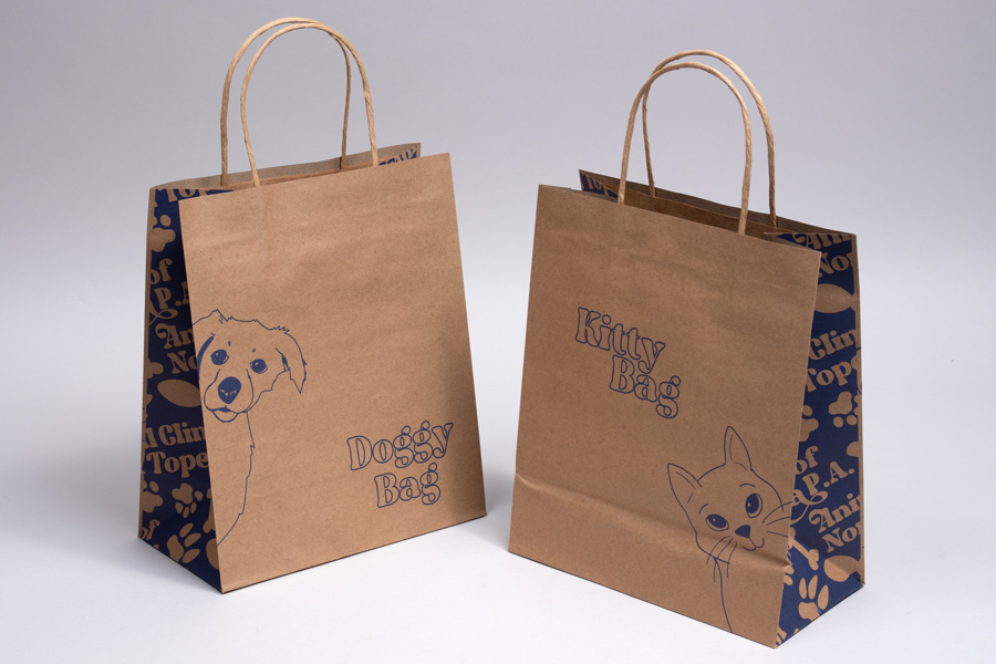 Custom Printed Paper Shopping Bag 