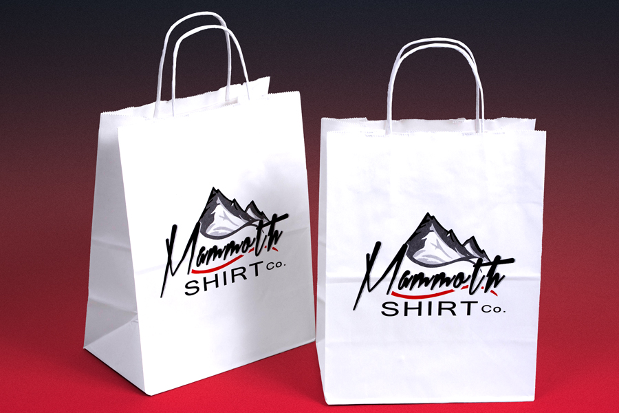 Semi-Custom Ink Print Shopping Bag with Screens