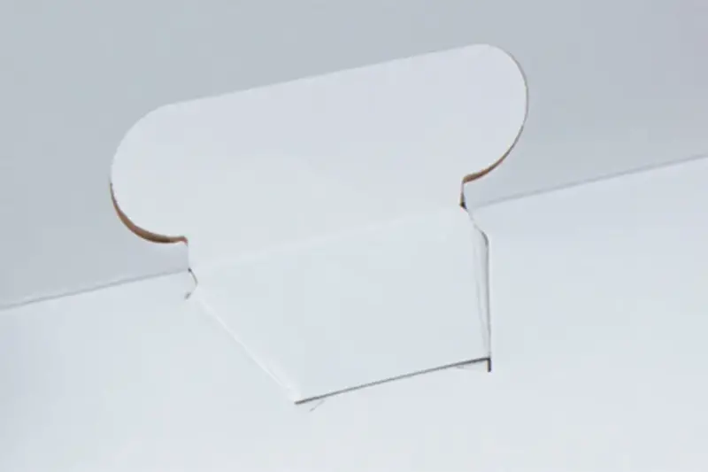 1white-closure_thumb800.webp