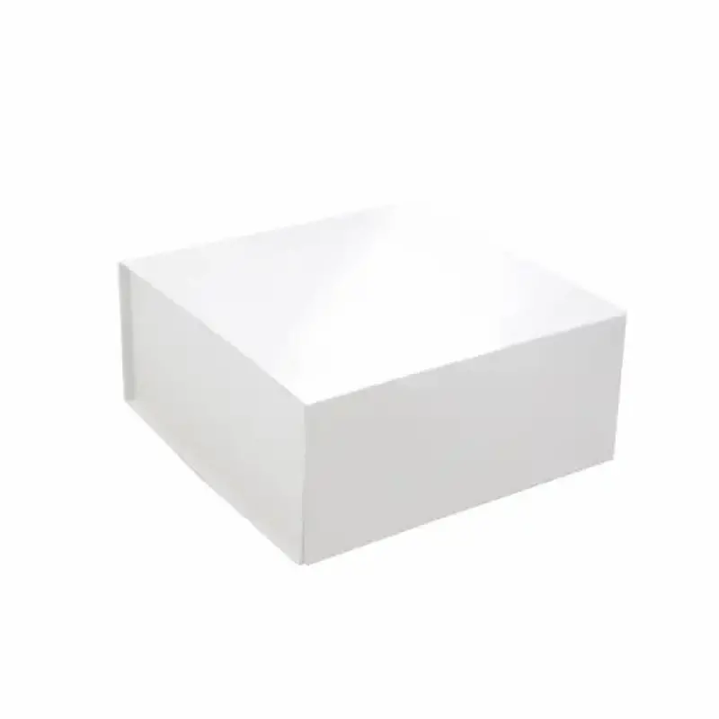 EZA1231_glossy-white_thumb800.webp
