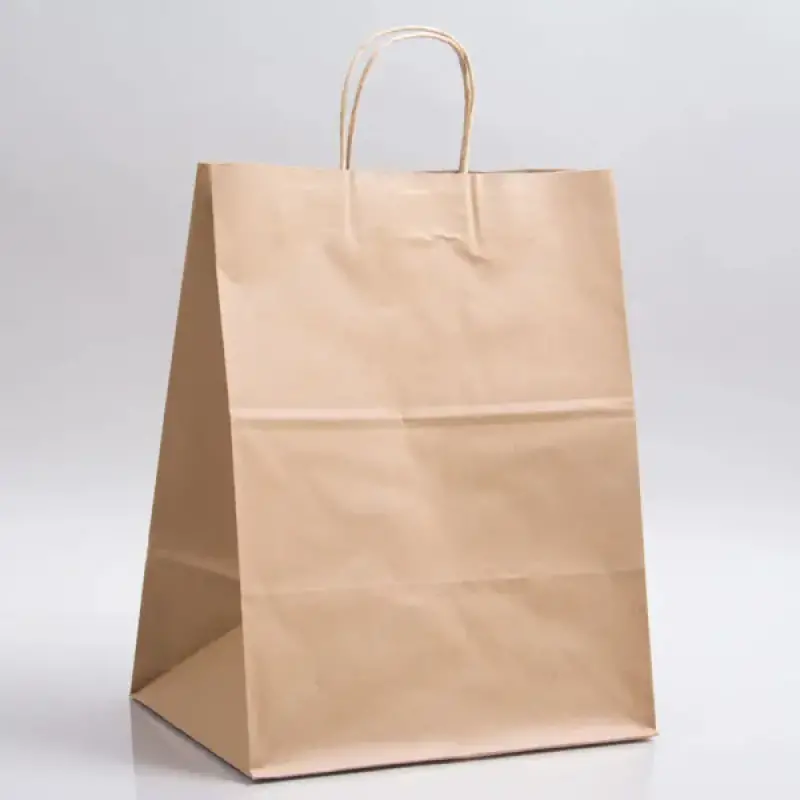 ハグハグページ 12 x 9 x 16 Premium EcoPlus™ Natural Kraft Paper Shopping Bag