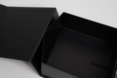 6panel-matte-black_thumb400.jpg