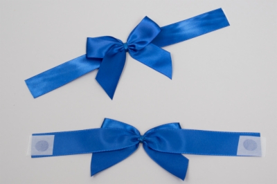 Blue-bow_thumb400.jpg