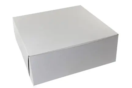 16X16X6 1PC BAKE BOX WHITE-NO WINDOW