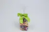 3" X 2-3/4" SATIN KIWI GREEN PRE-TIED BOW CLEAR TWIST TIE