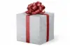 24X417 VAL-15 SILVER MERRY HOLIDAY 40#