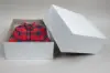 12X12X5.5 WHITE GIFT BOX