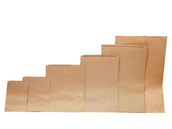 Paper Bags  satyamkraft