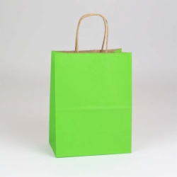 8 x 4.75 x 10.5 APPLE GREEN MATTE SHADOWSTRIPE PAPER BAGS