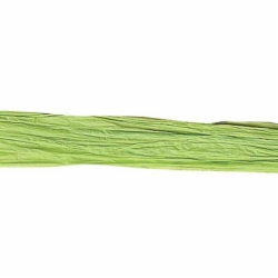 100YD JUNGLE GREEN MATTE WRAPHIA