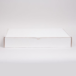 17 x 11 x 2.5 WHITE CORRUGATED TUCK-TOP MAILING BOXES