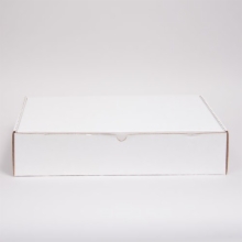 19 x 12 x 3 WHITE CORRUGATED TUCK-TOP MAILING BOXES