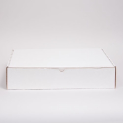 19 x 12 x 3 WHITE CORRUGATED TUCK-TOP MAILING BOXES