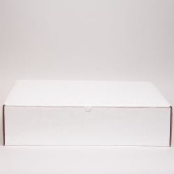 24 x 14 x 4 WHITE CORRUGATED TUCK-TOP MAILING BOXES