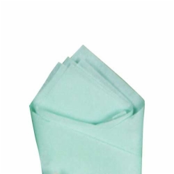 20 x 30 COOL MINT TISSUE PAPER
