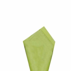 20 x 30 PISTACHIO TISSUE PAPER