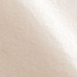 20 x 30 CHAMPAGNE TWO-SIDED PEARLESENCE TISSUE PAPER