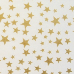 20 x 30 GOLD STARS/WHITE PRECIOUS METALS TISSUE PAPER