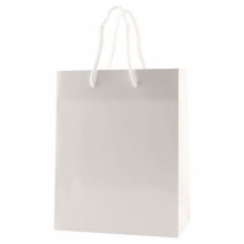 8 x 4 x 10 WHITE GLOSS PAPER EUROTOTE SHOPPING BAGS