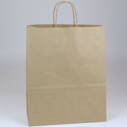 13 x 6 x 15.75 ECONOMY NATURAL KRAFT PAPER SHOPPING BAGS