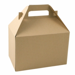8 x 5 x 5.25 NATURAL KRAFT GABLE BOXES