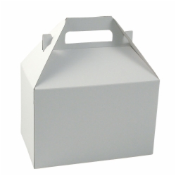 8 x 5 x 5.25 WHITE GLOSS GABLE BOXES