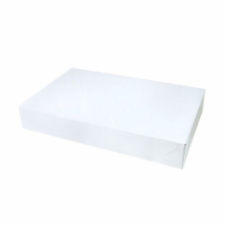 19 x 12 x 3 WHITE GLOSS APPAREL BOXES