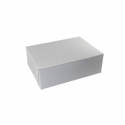 19.5 x 14 x 4 WHITE TWO-PIECE BAKERY BOXES
