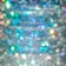 Holographic