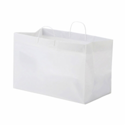 19 x 10 x 12 PLASTIC CATERING BAGS WITH RIGID CLIP LOOP HANDLES