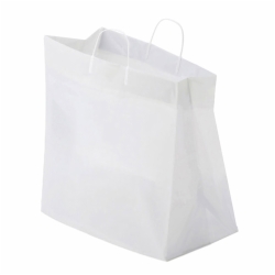14 x 10 x 14.75 PLASTIC CATERING BAGS WITH LOOP HANDLES