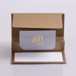 5 x 3-3/8 GOLD ICE GIFT CARD FOLDERS