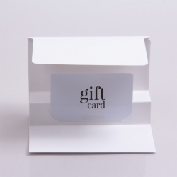 5 x 3-3/8 WHITE ICE GIFT CARD FOLDERS