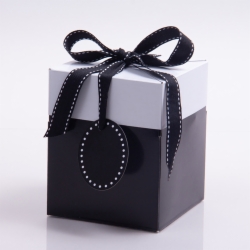 5 x 5 x 6 BLACK POP UP BOX