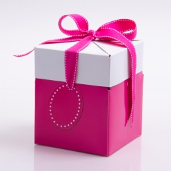 5 x 5 x 6 FUCHSIA POP UP BOX