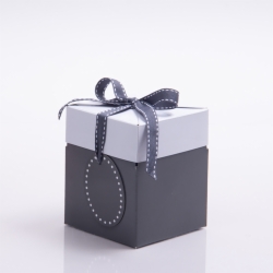 4 x 4 x 4.75 SLATE GRAY POP UP BOX